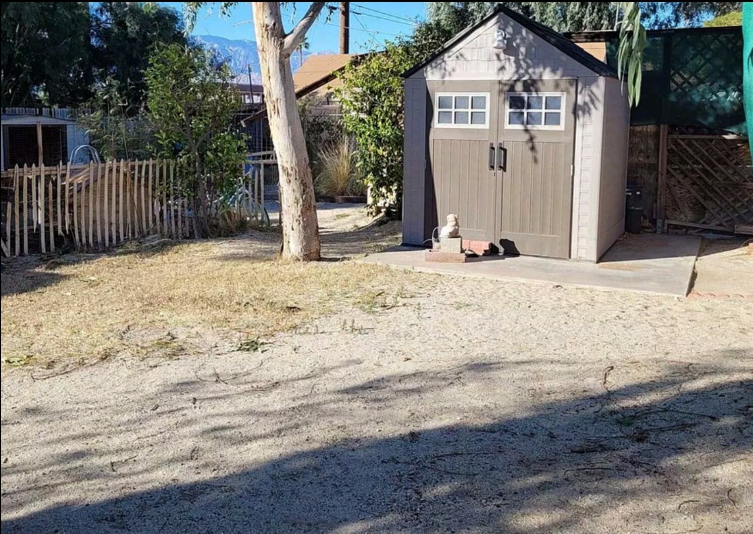 Backyard before renovation